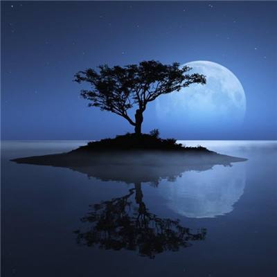 白宫:万斯在伊朗相关讨论中发挥核心作用